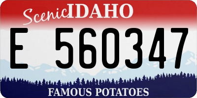 ID license plate E560347