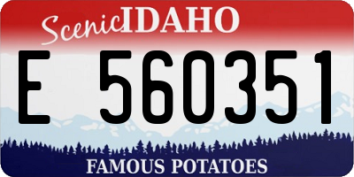 ID license plate E560351