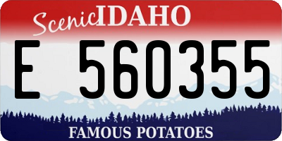 ID license plate E560355