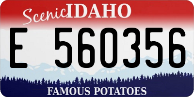 ID license plate E560356