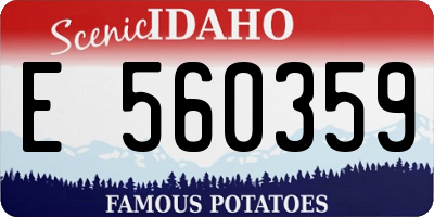 ID license plate E560359