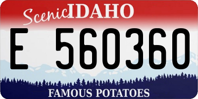 ID license plate E560360