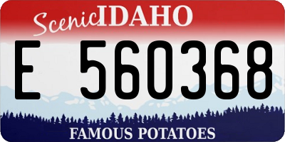 ID license plate E560368
