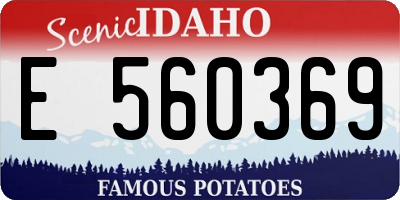 ID license plate E560369