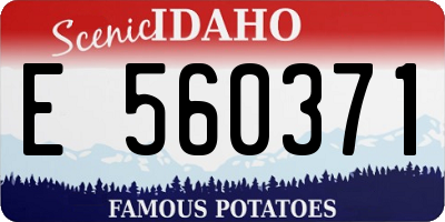 ID license plate E560371