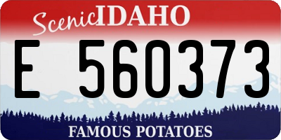 ID license plate E560373