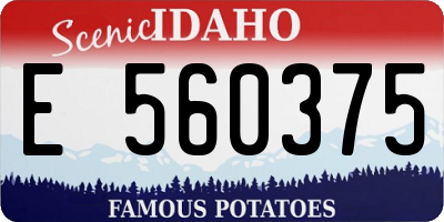 ID license plate E560375