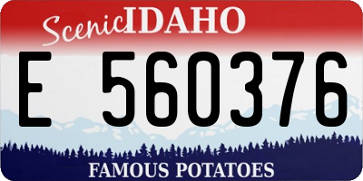 ID license plate E560376