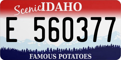 ID license plate E560377