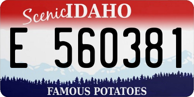 ID license plate E560381