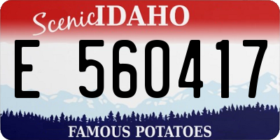 ID license plate E560417