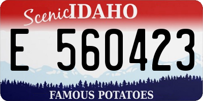 ID license plate E560423