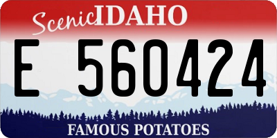 ID license plate E560424