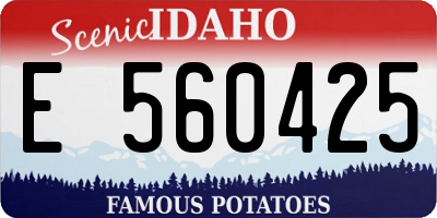 ID license plate E560425