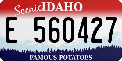 ID license plate E560427