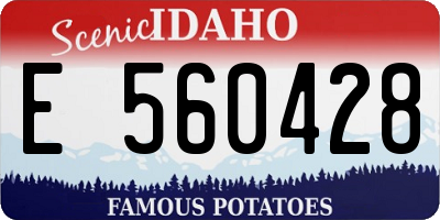 ID license plate E560428