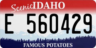 ID license plate E560429