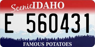 ID license plate E560431