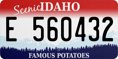 ID license plate E560432