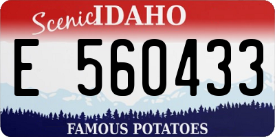 ID license plate E560433