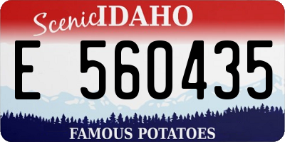 ID license plate E560435