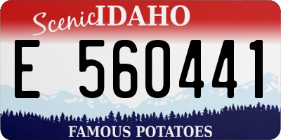 ID license plate E560441
