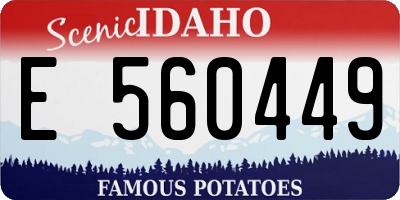 ID license plate E560449