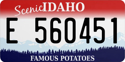 ID license plate E560451