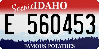 ID license plate E560453