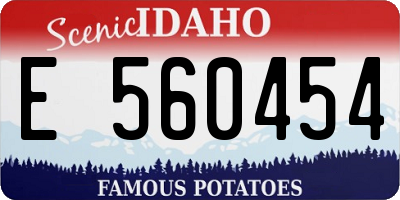 ID license plate E560454