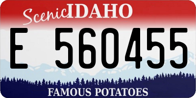 ID license plate E560455