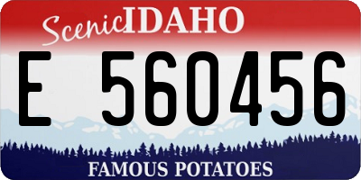 ID license plate E560456