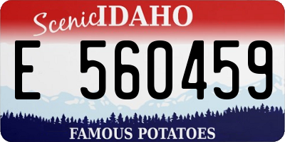 ID license plate E560459
