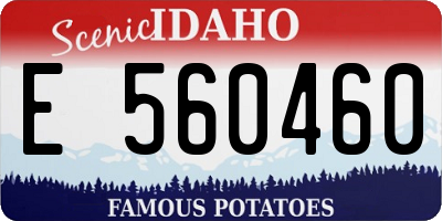 ID license plate E560460