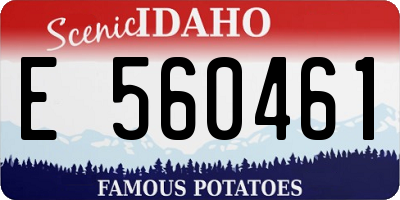 ID license plate E560461