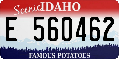 ID license plate E560462