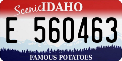 ID license plate E560463