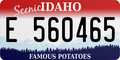 ID license plate E560465