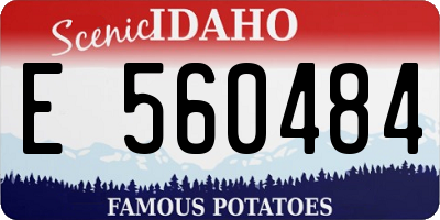 ID license plate E560484