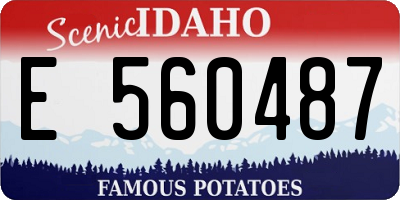 ID license plate E560487