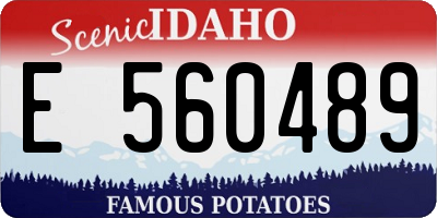 ID license plate E560489