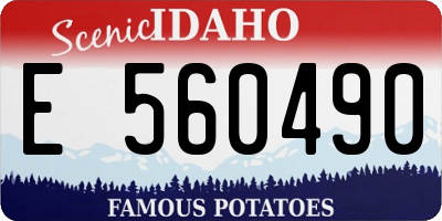 ID license plate E560490