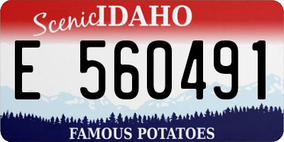 ID license plate E560491