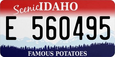 ID license plate E560495