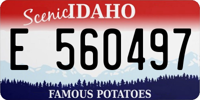 ID license plate E560497