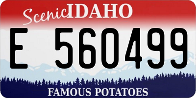 ID license plate E560499