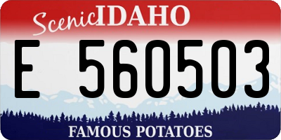 ID license plate E560503