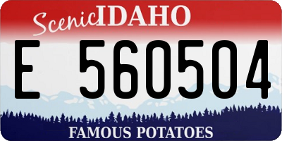 ID license plate E560504