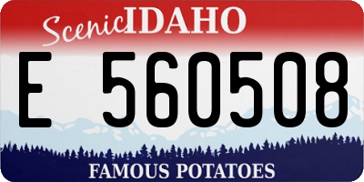 ID license plate E560508