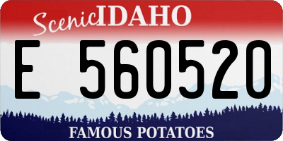 ID license plate E560520